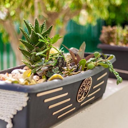 Cactus Apartment มาสปาโลมาส ภายนอก รูปภาพ