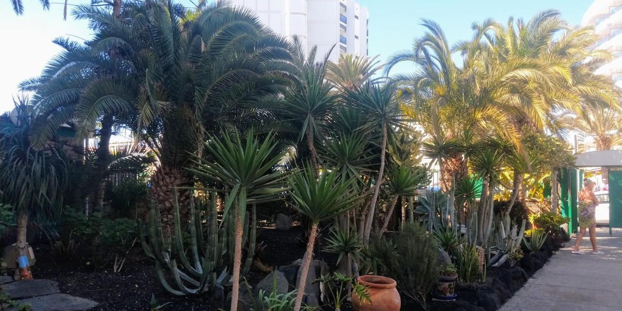 Cactus Apartment มาสปาโลมาส ภายนอก รูปภาพ