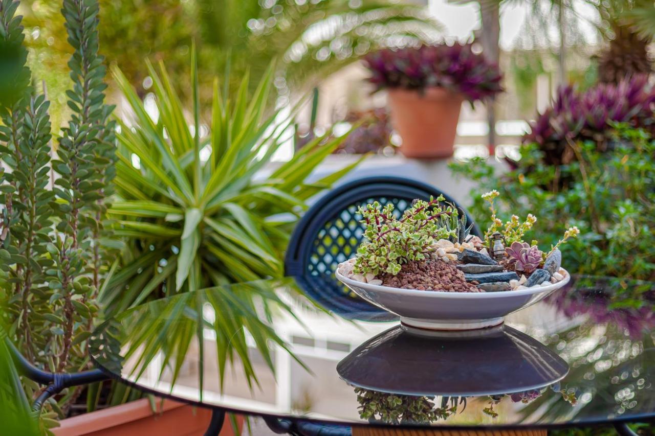 Cactus Apartment มาสปาโลมาส ภายนอก รูปภาพ