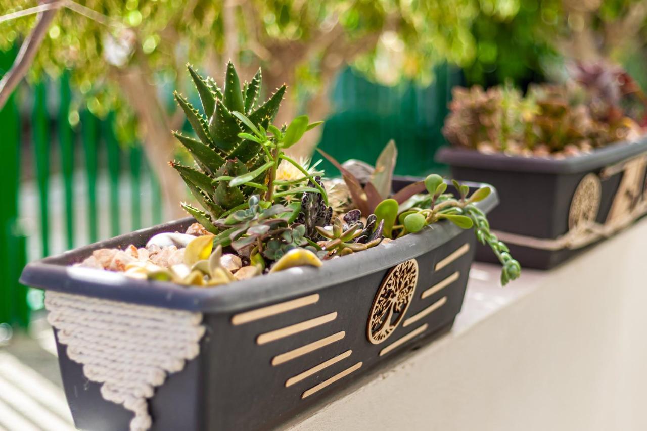 Cactus Apartment มาสปาโลมาส ภายนอก รูปภาพ